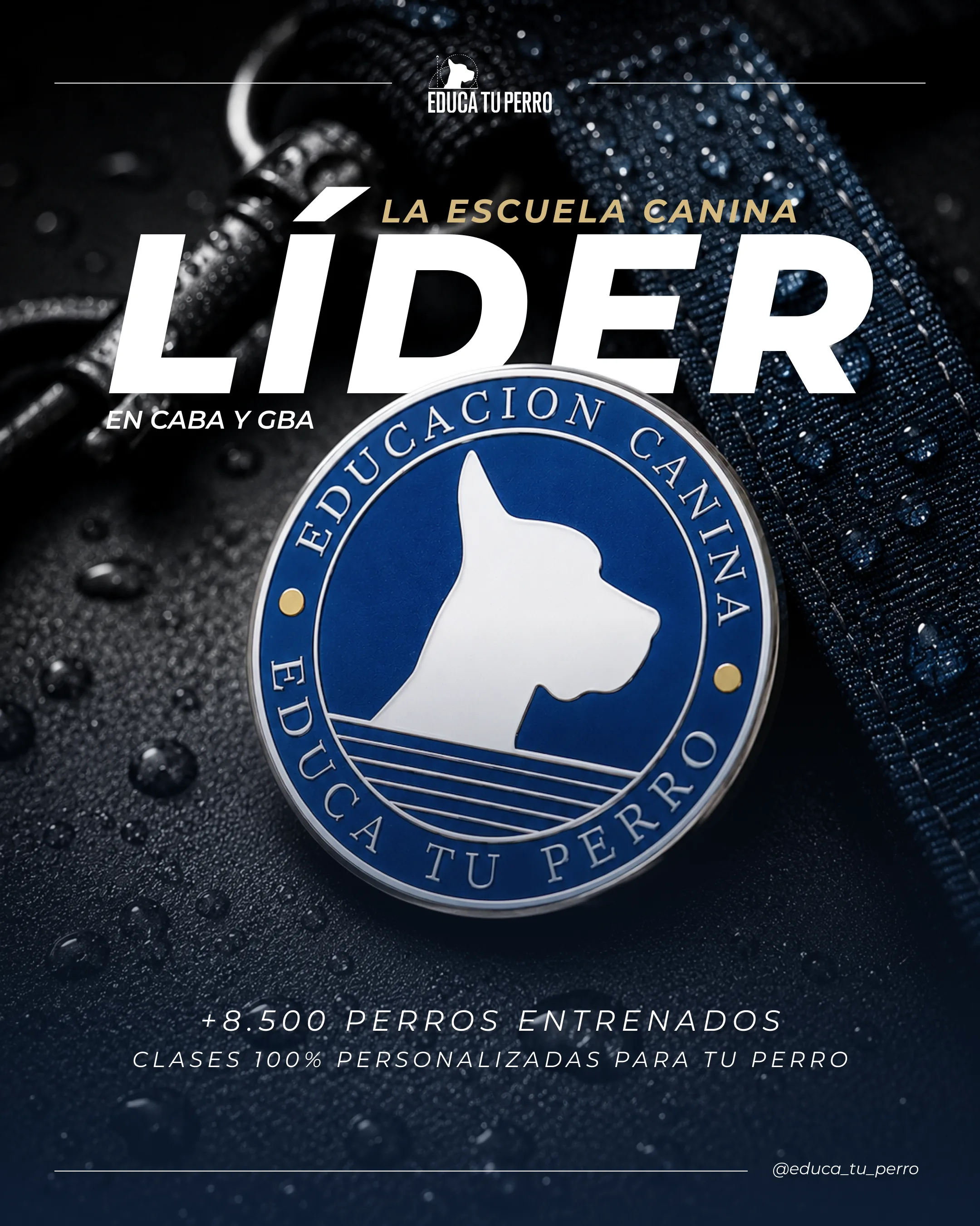 Educa Tu Perro